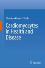 Cardiomyocytes in Health and Disease (Original PDF from Publisher)