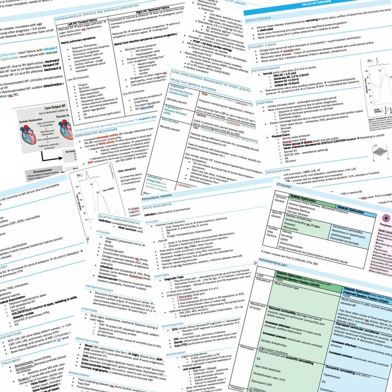 Cardiology Study Guide Bundle (144 Pages) - Image 7