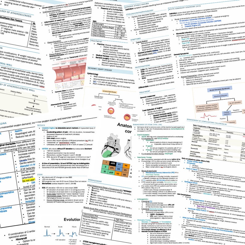 Cardiology Study Guide Bundle (144 Pages) - Image 2