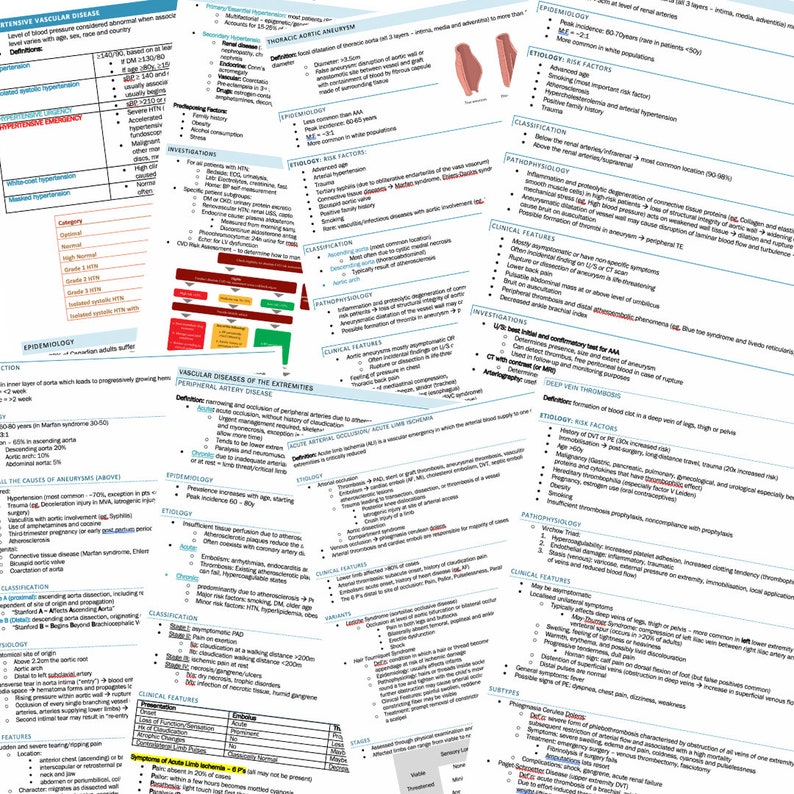 Cardiology Study Guide Bundle (144 Pages)