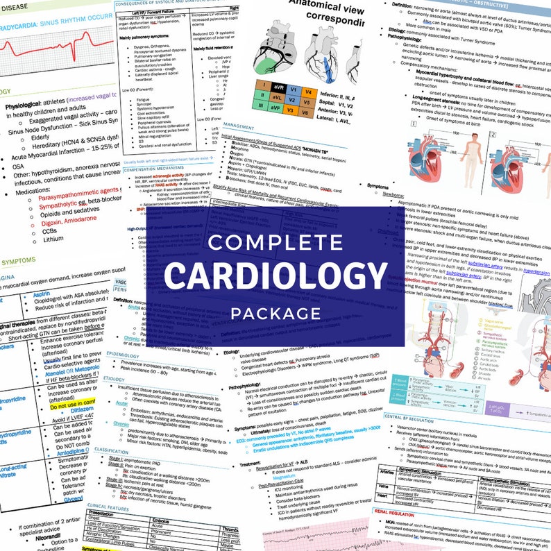 Cardiology Study Guide Bundle (144 Pages) - Image 3