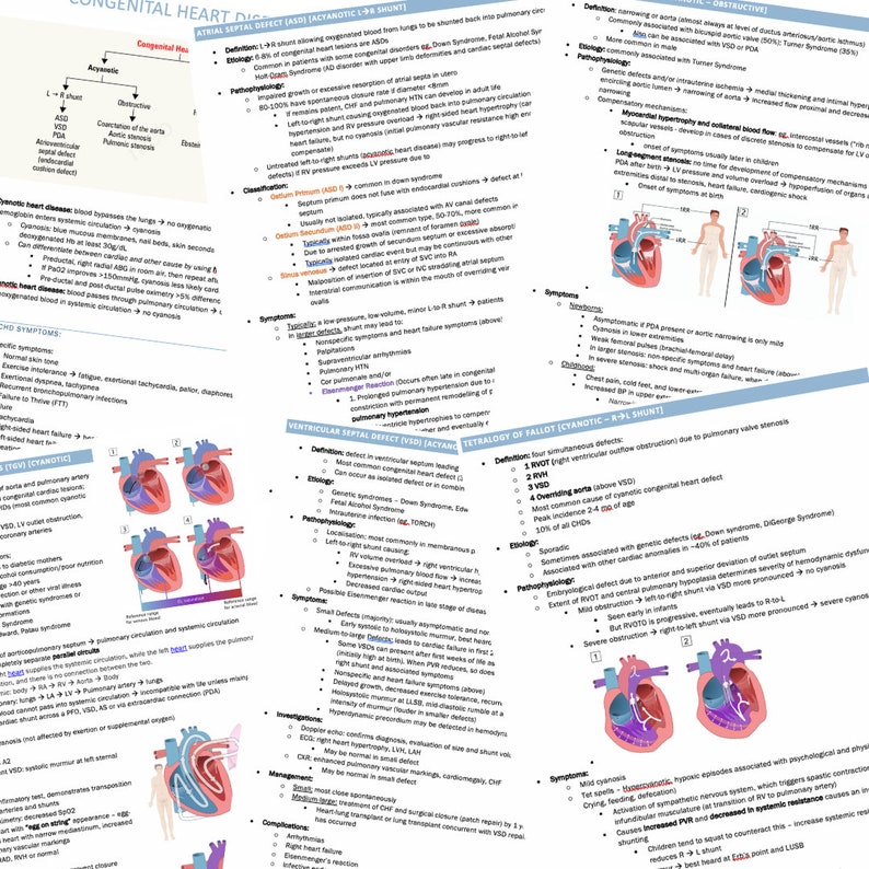 Cardiology Study Guide Bundle (144 Pages) - Image 6