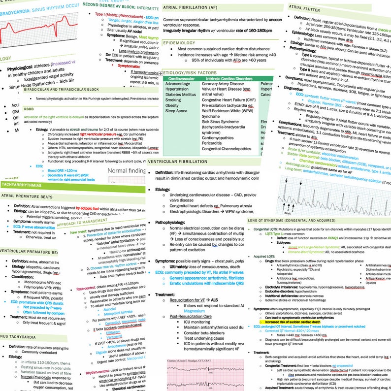 Cardiology Study Guide Bundle (144 Pages) - Image 5