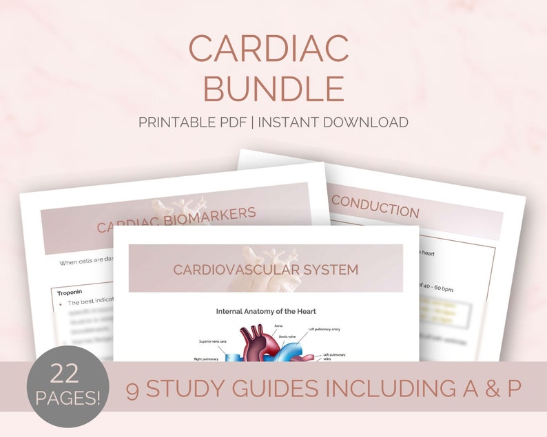 Cardiac Bundle Study Guide for Med Surg | Including Pharmacology and EKG Interpretation & Dysrhythmias | Cardio Meds | Nursing Notes PDF - Image 4