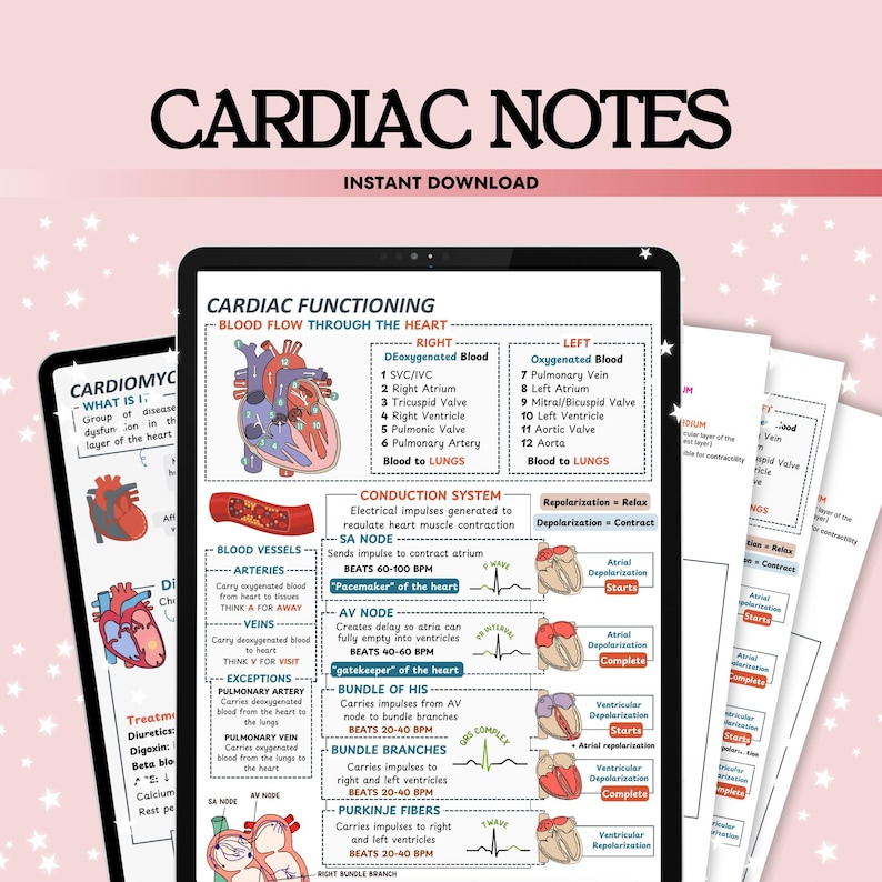 Cardiac Nursing Notes Study Bundle 25 Topics 16 Sheets, Cardiac Disorders Diseases Study Guide, Cardiovascular System, Heart ECG Rhythm, PDF