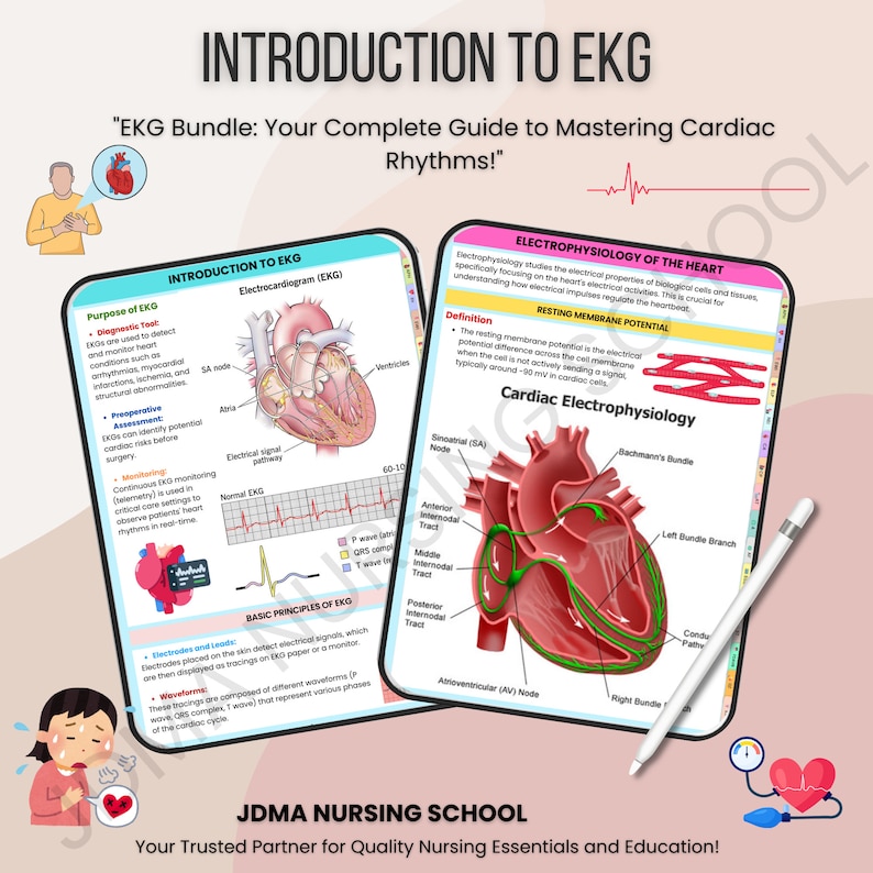 EKG Bundle Hyperlinked with Flashcards, Stickers, Quizz | Medical Nursing Study | Cardiac Study Guide | Ekg Rhythms | heart rhythms - Image 5