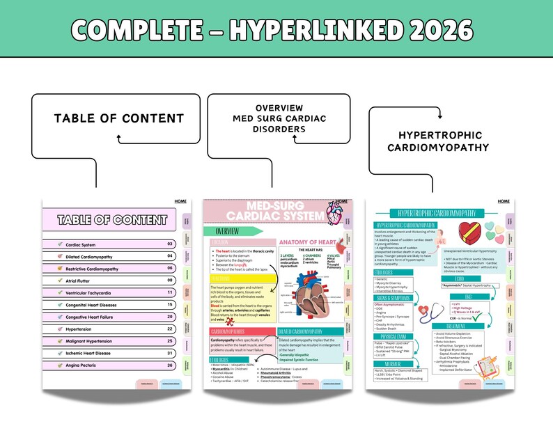 Advance Cardiac Nursing Notes Bundle, Cardiovascular System, Med Surg, Hyperlinked 2026 (PDF) - Image 4