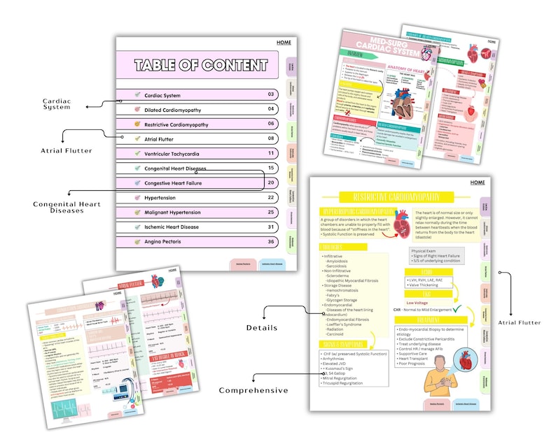 Advance Cardiac Nursing Notes Bundle, Cardiovascular System, Med Surg, Hyperlinked 2026 (PDF) - Image 7