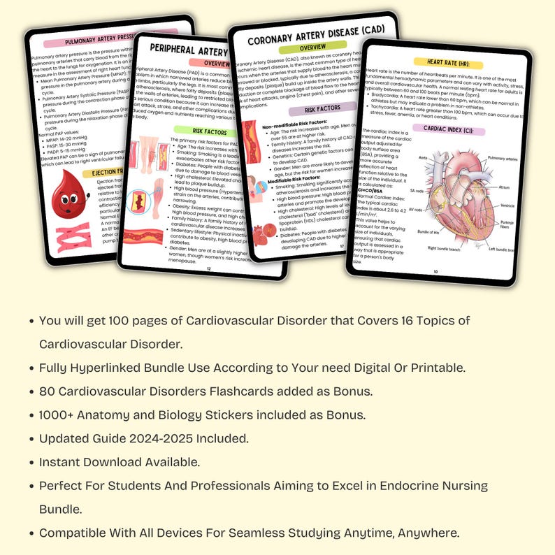 Cardiovascular System Notes | Cardiology Study Guide | Heart Anatomy | Cardiac Nurse | PDF - Image 2
