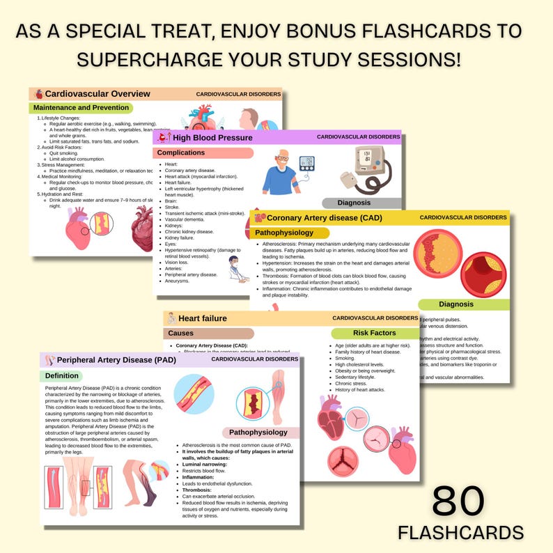 Cardiovascular System Notes | Cardiology Study Guide | Heart Anatomy | Cardiac Nurse | PDF - Image 6
