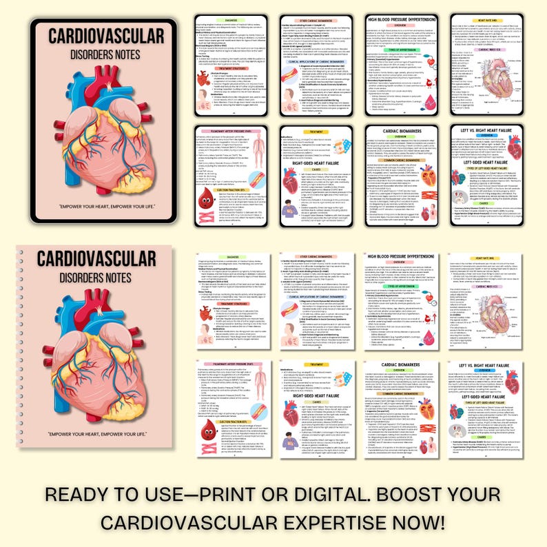 Cardiovascular System Notes | Cardiology Study Guide | Heart Anatomy | Cardiac Nurse | PDF - Image 5
