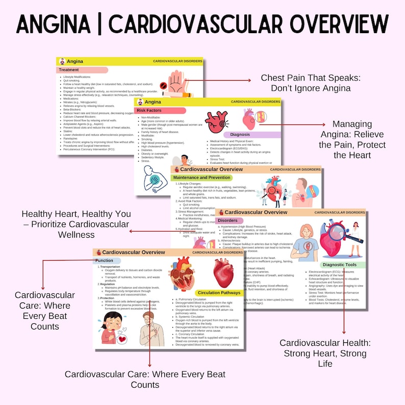 Cardiovascular Disorders Flashcards | Cardiac Nursing | Nursing Notes | Cardiovascular Notes | 80 Flashcards - Image 4