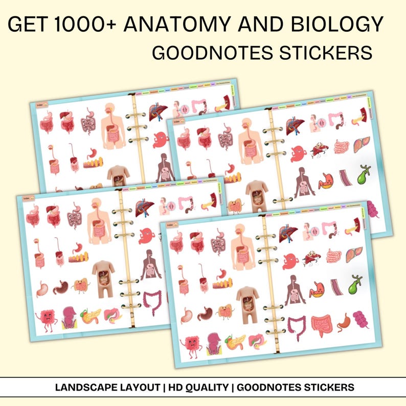 Cardiovascular System Notes | Cardiology Study Guide | Heart Anatomy | Cardiac Nurse | PDF - Image 7