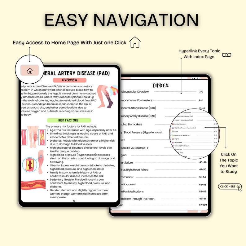 Cardiovascular System Notes | Cardiology Study Guide | Heart Anatomy | Cardiac Nurse | PDF - Image 3