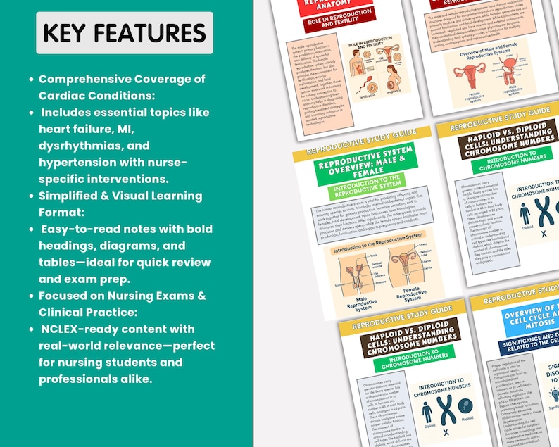 Cardiac Disorders Nursing Notes 2024: Cardiovascular System Study Guide (Digital Download) - Image 2