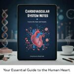 100+ Cardiovascular System Notes, Cardiovascular System Flashcards, Cardiology Study Guide, Study Guide, Nursing Notes,