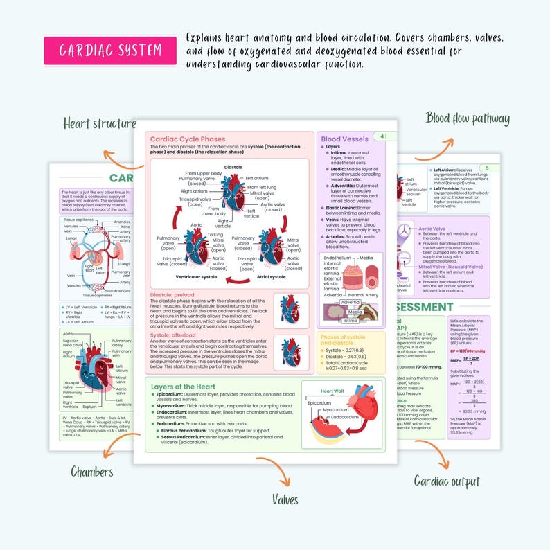 Cardiovascular Disorders Notes | 20+ Cardiac Conditions | ECG Heart Failure MI Angina Nursing - Image 3