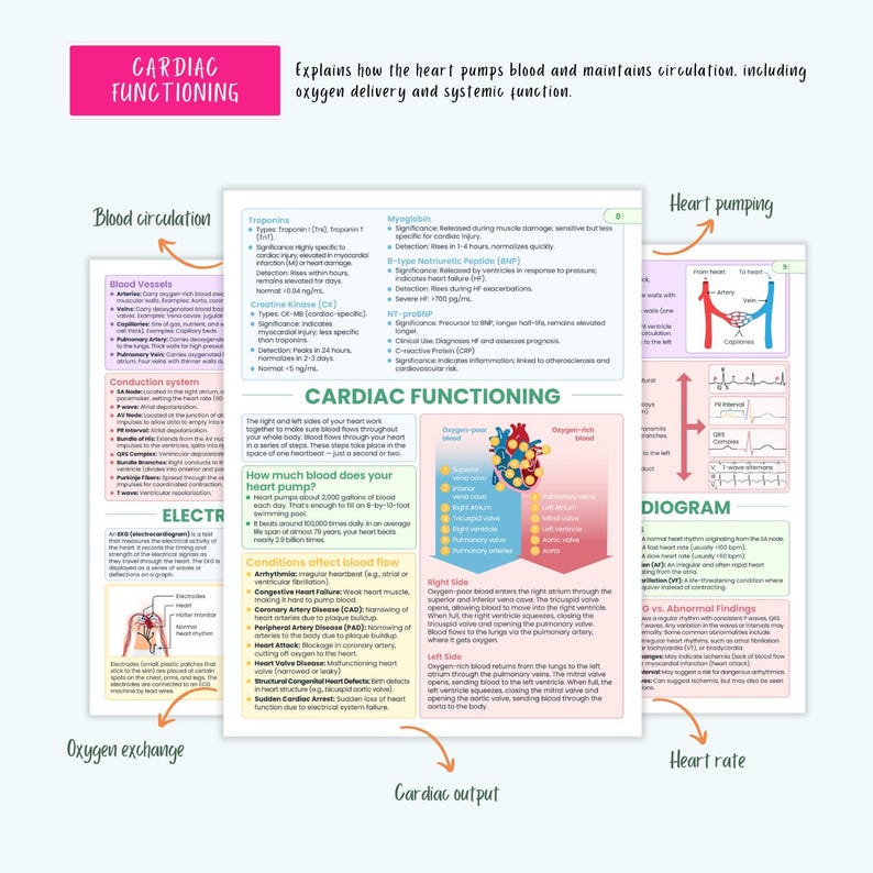 Cardiovascular Disorders Notes | 20+ Cardiac Conditions | ECG Heart Failure MI Angina Nursing - Image 7