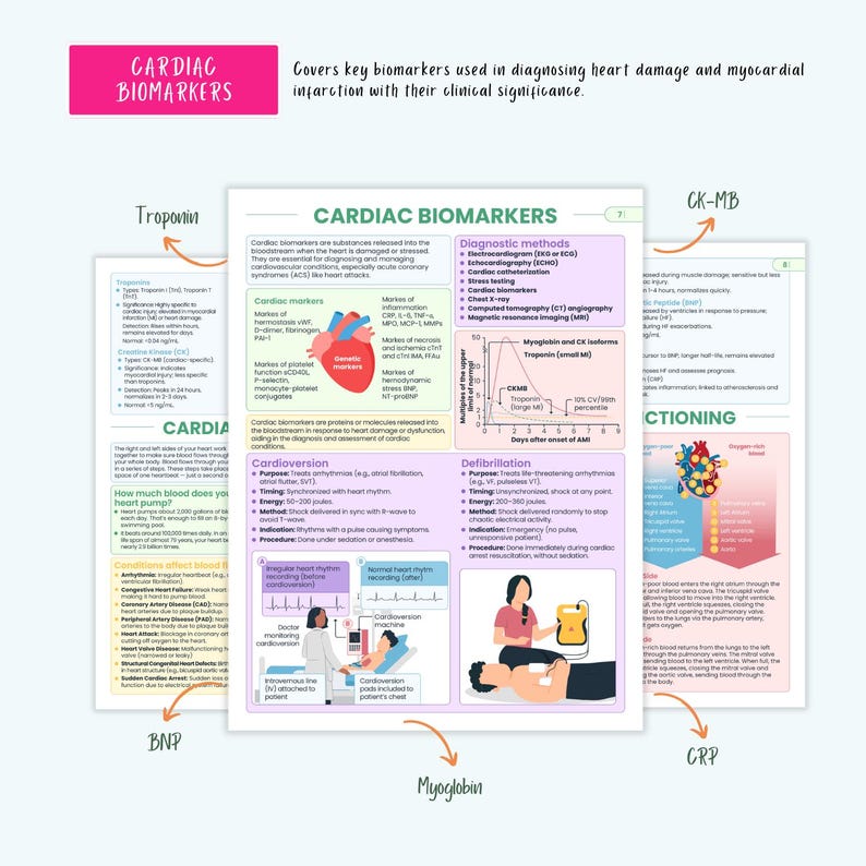 Cardiovascular Disorders Notes | 20+ Cardiac Conditions | ECG Heart Failure MI Angina Nursing - Image 6