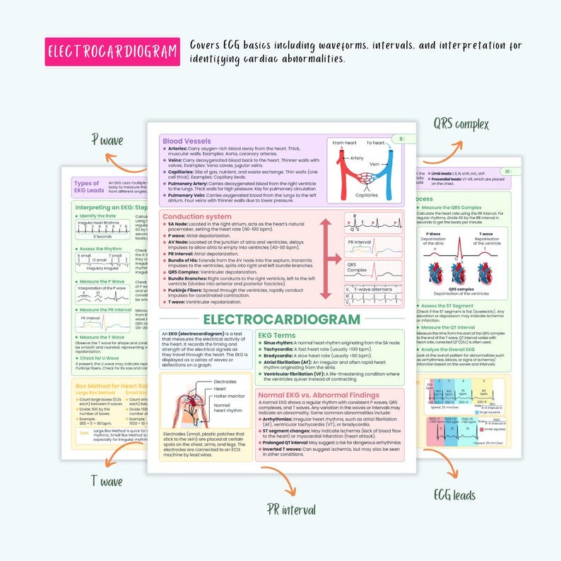 Cardiovascular Disorders Notes | 20+ Cardiac Conditions | ECG Heart Failure MI Angina Nursing - Image 8
