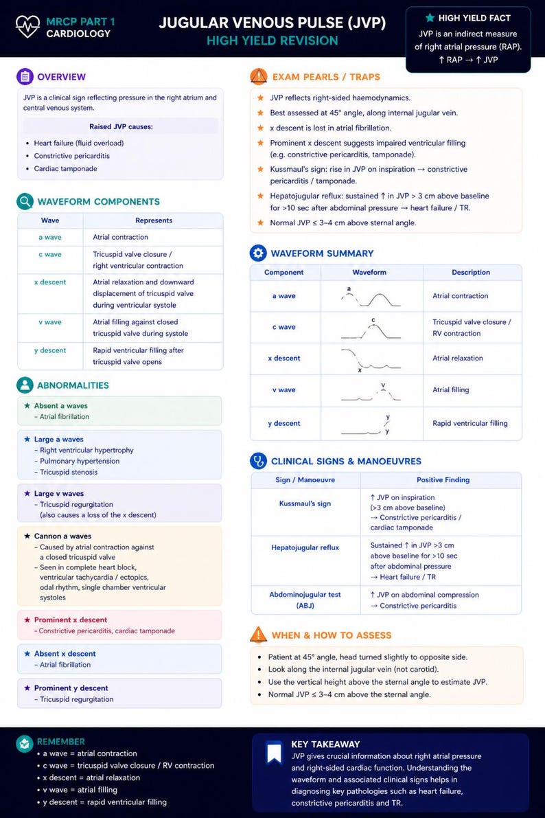 High Yield Cardiology Mega Revision Bundle | Notes | Flashcards - Image 5